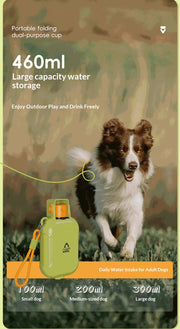 Dual-Use Folding Portable Pet Travel Feeder
