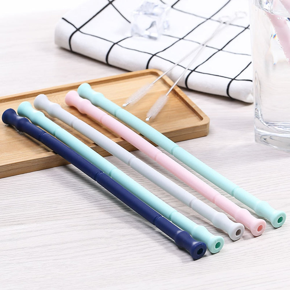 Collapsible Silicone Travel Straw with Case