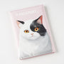 Pink Cat
