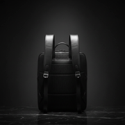 Carbon Black rear view