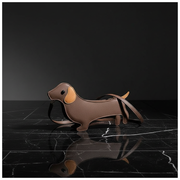 Dachshund Luna shot 5