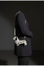 Dachshund worn spotted lifestyle