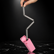 Collapsible Stainless Steel Straw with Case