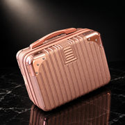 Vintage Hardshell Carry-On Storage Case, 14-inch