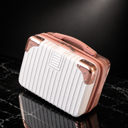 Vintage Hardshell Carry-On Storage Case, 14-inch
