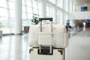 Luggage Sleeve